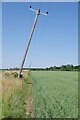 TM1217 : Wonky Power Poles by Footpath 2 by Glyn Baker