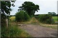 Footpath to Little Clacton