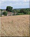 View from rear of Highfield Lodge, Wigginton