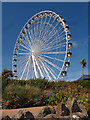TV6198 : Eastbourne : Ferris wheel by Jim Osley