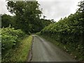 Minor road near Talwrn Farm