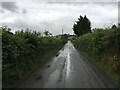 Minor road near Abernaint