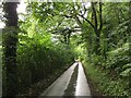 Minor road near Llyn Moelfre