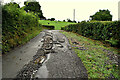 Storm damage along Carrigans Park Road