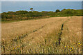 Farmland, St Eval