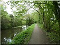 Severn Way (NCN81) by Montgomery Canal