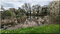 Pond at Chilton Grove