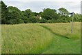 Footpath to Sandon