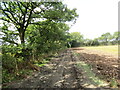 Llwybr ger Bryn-glas / Footpath near Bryn-glas