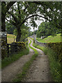 Road winding towards Lower Height