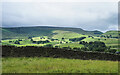 Rough  grazing in field south of B6265