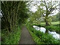 Severn Way (NCN81) by Montgomery Canal