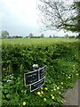 Canal mile marker by Montgomery Canal south of Brithdir Locks