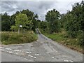 The lane to Mynydd Bach forest