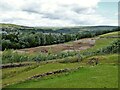 New earthworks on brown field site