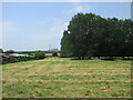 Field  behind  Manor  Farm  toward  Cement  Works