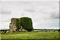 S3783 : Castles of Leinster: Ballygeehin, Laois by Mike Searle