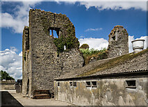 R9480 : Castles of Munster: Ballymackey, Tipperary (2) by Mike Searle