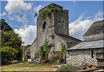 R8489 : Castles of Munster: Ballycolliton, Tipperary (1) by Mike Searle