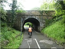 SJ2969 : Road bridge over cycle route (NCN5) by David Smith