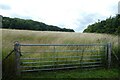 Gate beside bridleway SR126