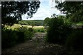 Gates north of the bridleway