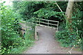 Footbridge over stream on golf course