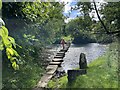 Lealholm Stepping Stones