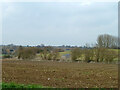 Farmland north of Mill Road