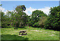 Picnic Area, Bostall Woods