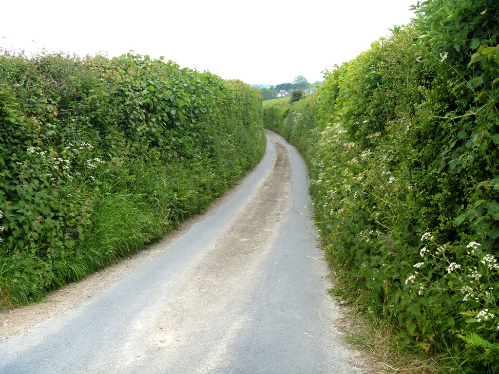 Wanderings around the Welsh/English... © Michael Dibb :: Geograph ...