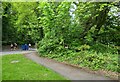 Roadside greenery, A660, Adel, Leeds