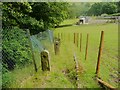 Stone fence posts alongside Footpath 194/2