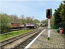 TR2548 : Shepherdswell Station by Adrian Taylor