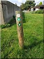 SO9454 : Footpath marker including Millennium Way, Upton Snodsbury by Jeff Gogarty