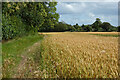 Farmland, Little Missenden