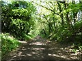 Wirral Way south of Willaston