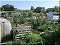 Faircross allotments