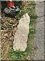 Old Boundary Marker in Treleigh