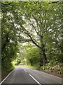 The old Brecon road from Builth