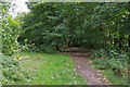 Woodland path south of Russell Road, Shepperton