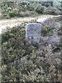 Old Boundary Marker in the Poldice Valley