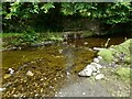 Sluice on the Blane Water