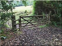SY1494 : Wooden gate to a field by John P Reeves