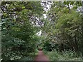 Path through South Wood, Corby