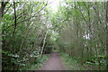 Path through Oakley Purlieus, Corby