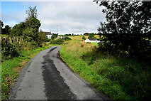 H3479 : Cloonty Road, Legland by Kenneth  Allen