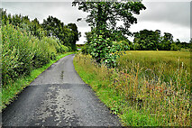 H3478 : Envagh Road, Envagh by Kenneth  Allen