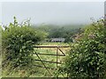 Farm gate at Glanmachlas