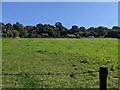 Severnfield Cottages (Upper Arley)